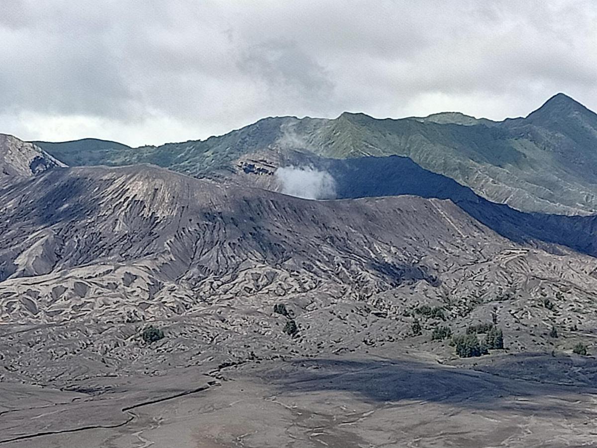 Istana Bromo Resort Eksteriør bilde